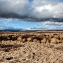 Waiouru